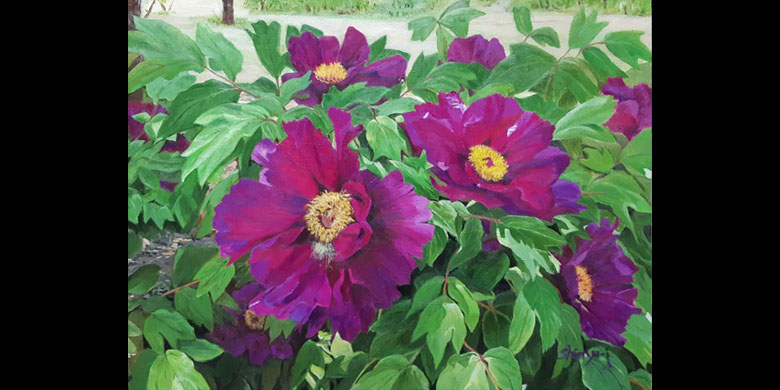 신유정 서양화전 - 꽃 이야기