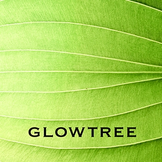 글로우트리 1월 1BUY 1GET